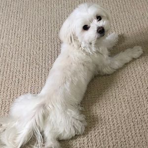 Meet your Posher, Deb